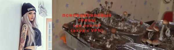 винт Осинники