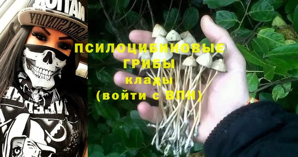 PSILOCYBIN Щигры