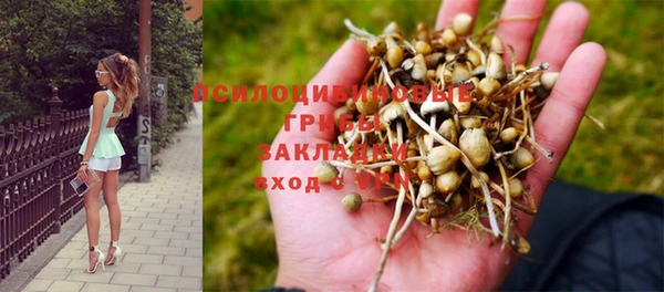 винт Осинники