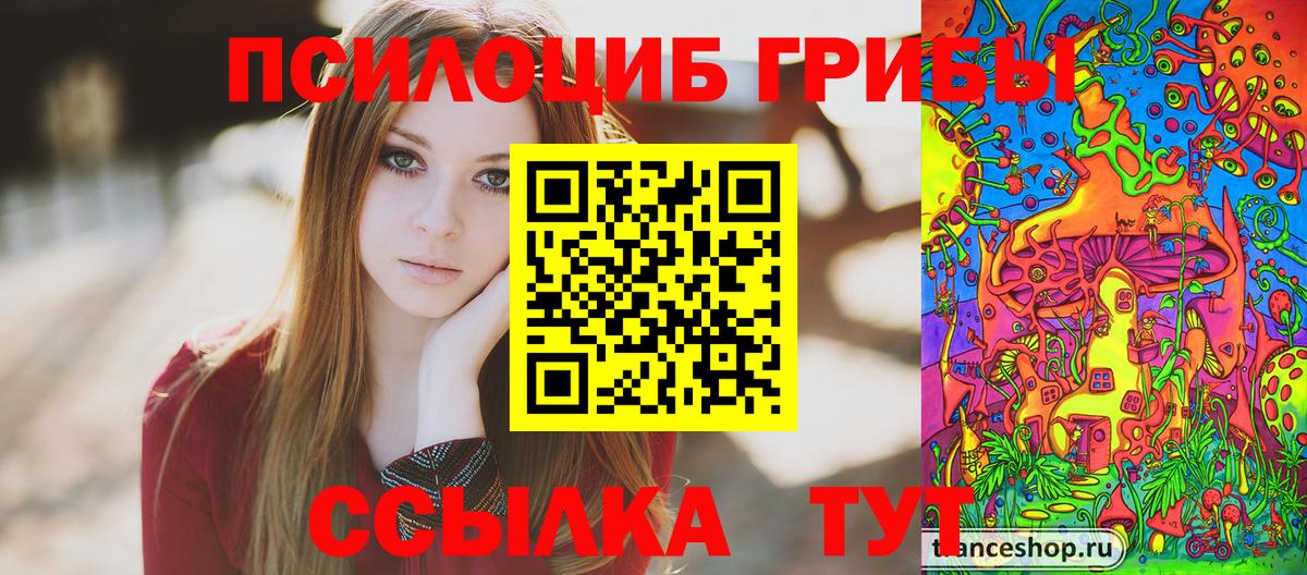 Псилоцибиновые грибы прущие грибы Алатырь