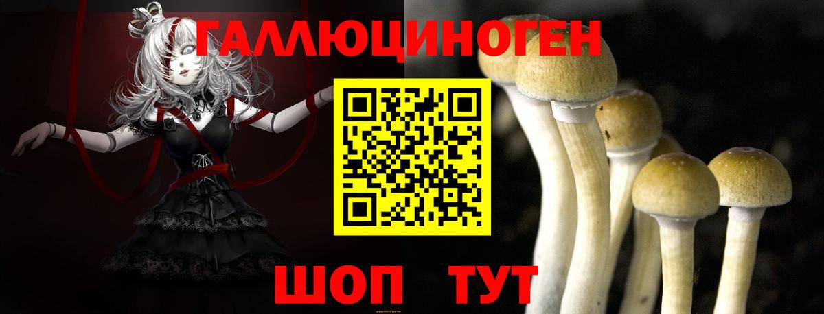 Псилоцибиновые грибы Psilocybine cubensis  Вход с VPN  Алатырь 
